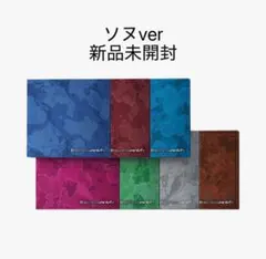 ENHYPEN THE SIN:VANISH ソヌ　新品未開封