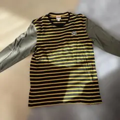 LACOSTEボーダーロンTのサムネイル
