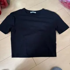 ZARA ミニTシャツ　黒