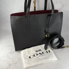 【美品】 コーチ カーター キャリーオール 2way ショルダー トートバッグ