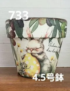 2026年最新】三河焼 鉢の人気アイテム - メルカリ