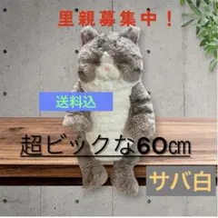 ❣️大人気ビックLサイズ60㎝❣️ひざねこ すやすや ★ 動物愛護団体寄付対象　茶白 ❣️大人気ビックLサイズ60㎝❣️ひざねこ すやすや ☆ 動物愛護団体