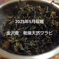 2025年最新】干しわらびの人気アイテム - メルカリ