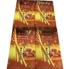 グリコ ポッキー 冬のきらめき 塩キャラメル ×4箱のサムネイル