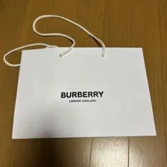 Item thumbnail for item 8e6a36cb-0241-49e5-90b3-b73483108e74