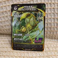 2026年最新】サカダチコノハナナフシの人気アイテム - メルカリ