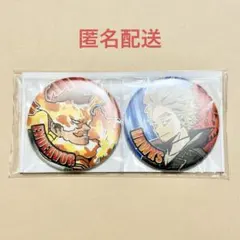 ヒロアカ エンデヴァー ホークス 缶バッジ コンビセット