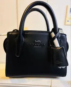 2025年最新】アンドレア キャリーオールの人気アイテム - メルカリ