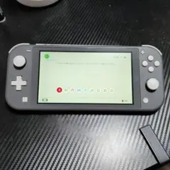 ぺ*て様 Switch Light(グレー)