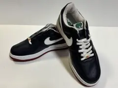 NIKE AIR FORCE 1 プエルトリコ 27.5cm 鑑賞用