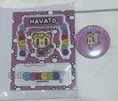 GENERATIONS 小森隼　ジェ猫　アクスタ　缶バッジ
