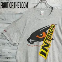 《激レア》FRUIT OF THE LOOM tシャツ☆SCREEN STARS