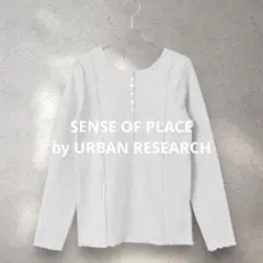 美品 SENSE OF PLACE ヘンリーネックリブトップ 薄グレー F 春