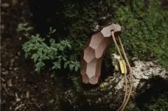 2025年最新】hills field editionの人気アイテム - メルカリ