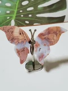 ピンクアゲート　蝶々