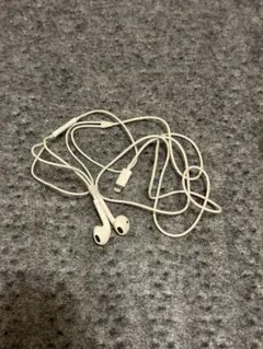 Lightning接続 インイヤー型イヤホン ホワイト