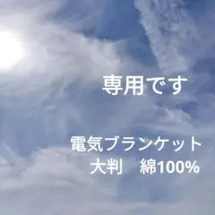 モリタ 電気毛布 花柄　掛け敷き両用　電気ブランケット　大判　綿100%