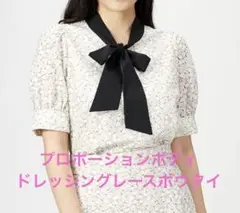 プロポーションボディドレッシング　ボウタイ　半袖　レース