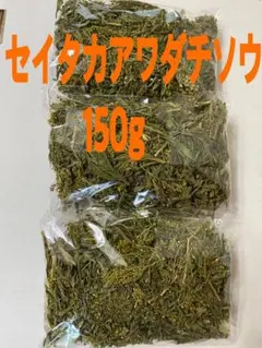 セイタカアワダチソウ（背高泡立草) 苗/株分け/根っこ付き - メルカリ