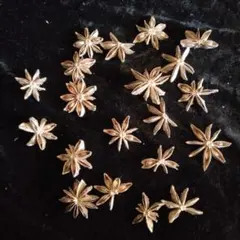 Item thumbnail for item fa277af7-d796-4d6f-b05f-4d3600036acc