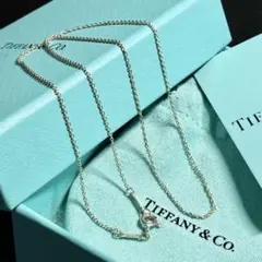 ティファニー　チェーン　ネックレス　ペンダント　Tiffany シルバーのサムネイル