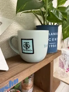 ミントグリーン マグカップ（防水加工）