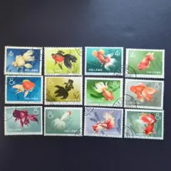 2025年最新】中国切手 金魚の人気アイテム - メルカリ