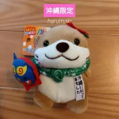 【沖縄限定‼️】✨さすらいの旅 カワウソ✨ (沖縄バージョン)