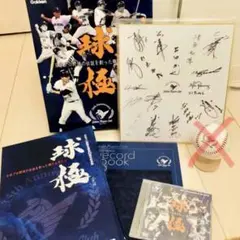 名馬全史色紙 Vol5 ノーマル コンプセット - メルカリ