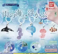 雨の海に浮かぶ　【タツノオトシゴ・アカクラゲ】