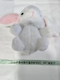 レベルネオ ノゲラ ジブリール（田村ゆかり）直筆サインカード Amazon.co.jp: ール 直筆サイン 田村ゆかり レベルネオ HRAF