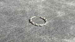 Item thumbnail for item 5d16c961-1366-4e63-aa8e-4f772f9770c3