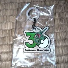 ポケモン 30周年 レックウザ メタルチャーム