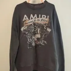AMIRI サバイバル・オブ・ザ・フィッテスト スウェット