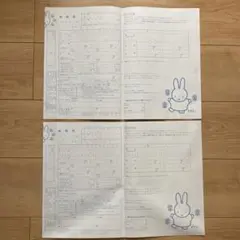 ミッフィー サムシングブルー婚姻届2枚セット