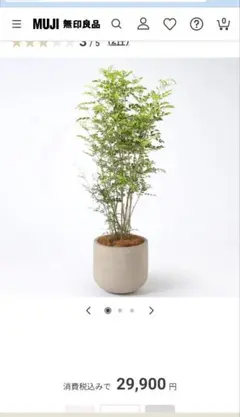 2026年最新】セメント鉢 無印の人気アイテム - メルカリ