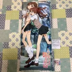 Item thumbnail for item 48ee27d3-892d-4839-be3a-5155368d8f3e