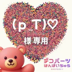 (ｐ ̫Ｔ)♡ 様　専用ページ