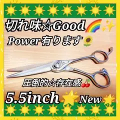 パワー有⭐️理美容師プロ用シザーカットバサミ★トリマートリミングペット全て可 パワフルに切れる理美容師サロン用シザーカットバサミ☆トリマー