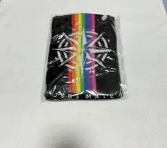 Item thumbnail for item 8c283b73-0349-4787-88dc-a1beae2fa786