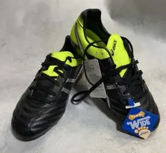 アシックス　TSI746 / DS LIGHT WD 2 / 27、0cm