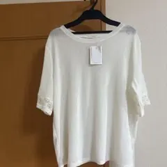 しまむら　袖レースハイショクT シアーTシャツ