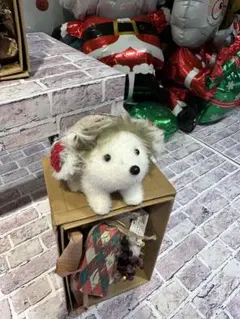 Island 様専用ページ