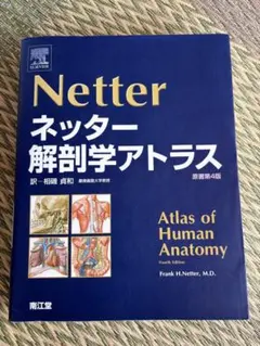 Item thumbnail for item 89610f1a-d0c1-4212-82c0-a95035f64c22