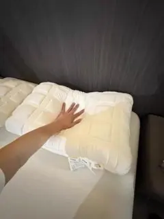 Item thumbnail for item 8bb248b1-0382-4ce6-ab24-ada9f958acfb