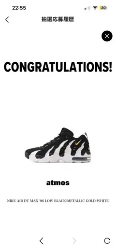 NIKE AIR DT MAX '96 LOW ブラック/ゴールド