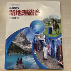 高等学校 新地理総合