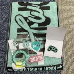 TWICE THIS IS FOR ミナ タオル ピンバッチ ワークショップ