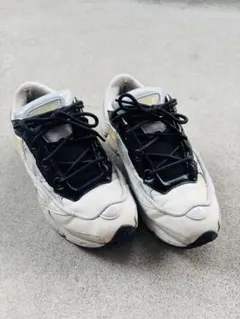 2026年最新】raf simons ozweego3の人気アイテム - メルカリ