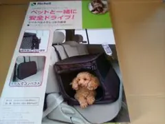 Item thumbnail for item c80badc7-29b1-4dd9-a33f-b486aa059fff